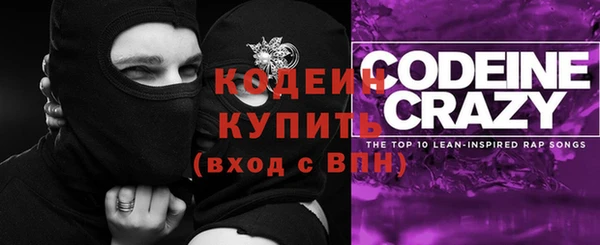 гашик Анжеро-Судженск
