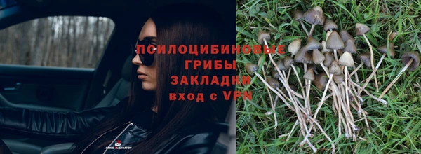 мдпв Аксай