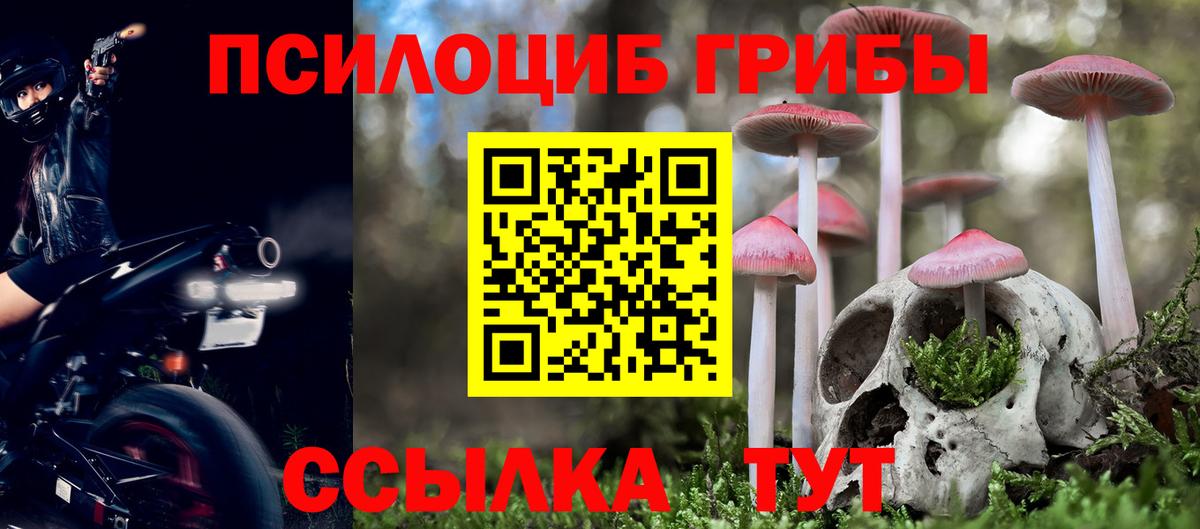 Псилоцибиновые грибы мухоморы Камень-на-Оби