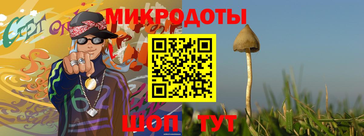 Камень-на-Оби  Галлюциногенные грибы мицелий  Вход с VPN 
