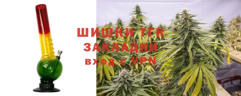 Бошки марихуана THC 21%  Камень-на-Оби 